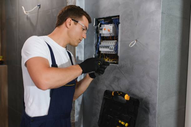 Best Electric Panel Repair  in Central, SC